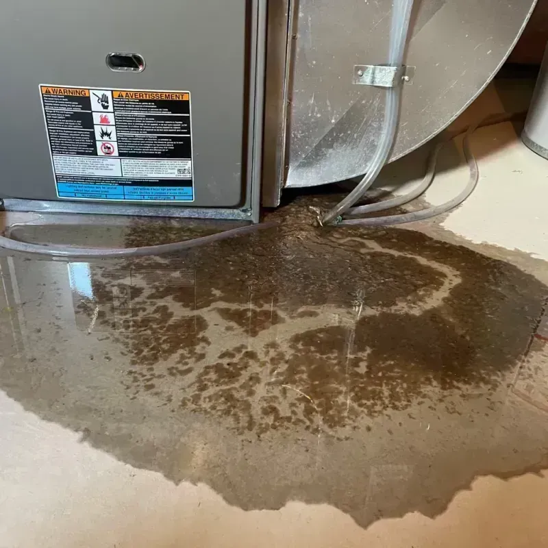 Appliance Leak Cleanup in Henderson County, KY